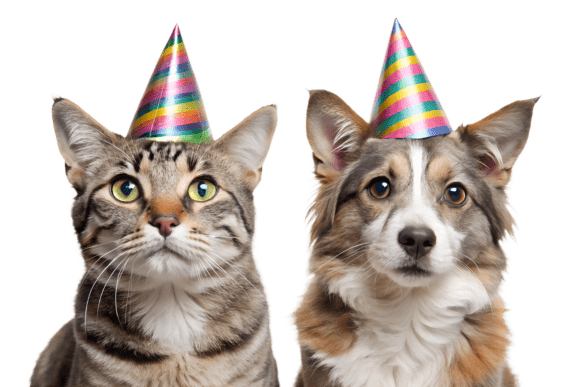 Download Cat and Dog Wearing Party Hats PNG - Party Collection